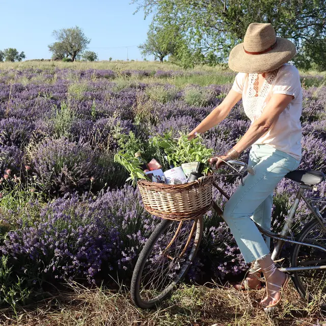 Route Saveurs & Senteurs_Haute Provence