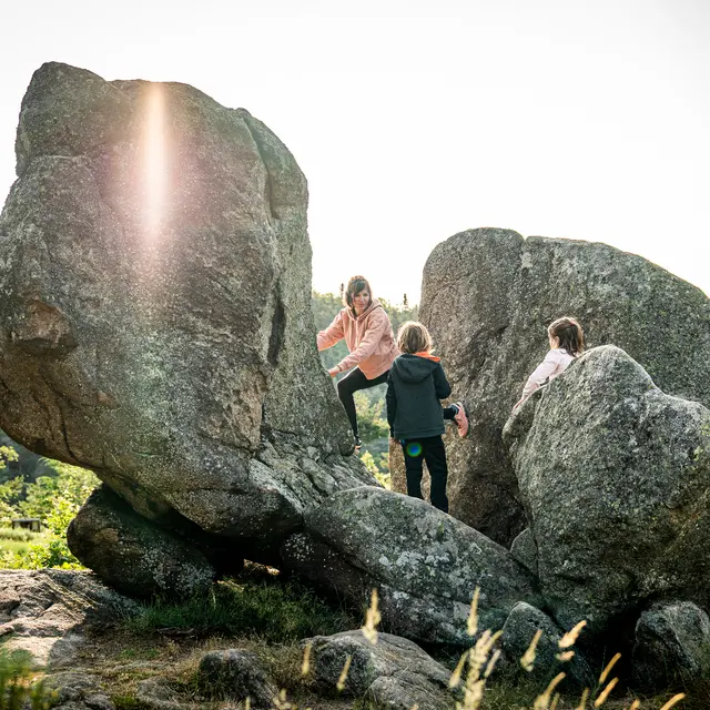 Sentier d'interprétation de la Tortue - boucle de 700m_Bourg-Argental