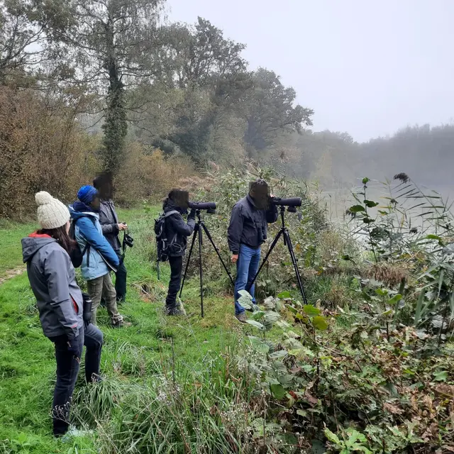 Découverte de la faune du Domaine de Vernange