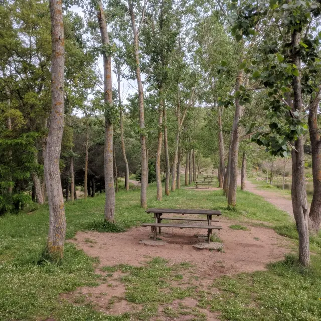 De Malpasset à l'Avellan