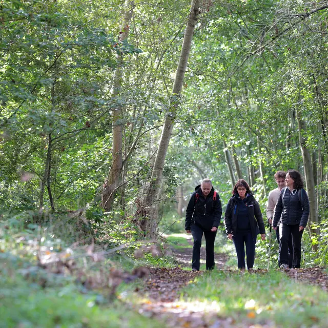 Rando guidée au fil du fleuve Loire : Andrézieux-Bouthéon / Rivas_Rivas