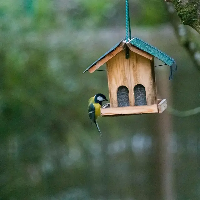 Atelier fabrication des nichoirs_Pont-de-Vaux