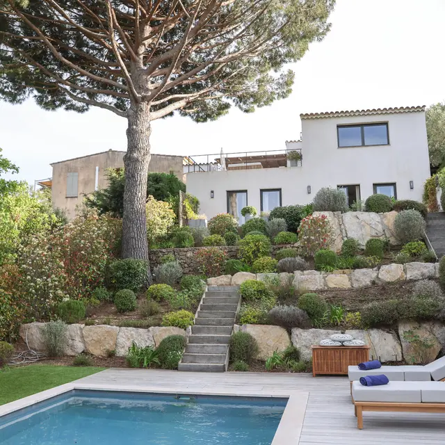 Shellter Saint-Tropez