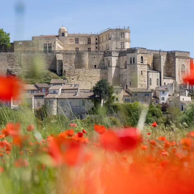 Sur les Pas de la Marquise_Grignan