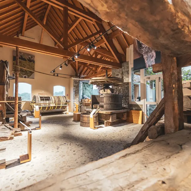 Musée de la vigne et du vin de Savoie - Montmélian