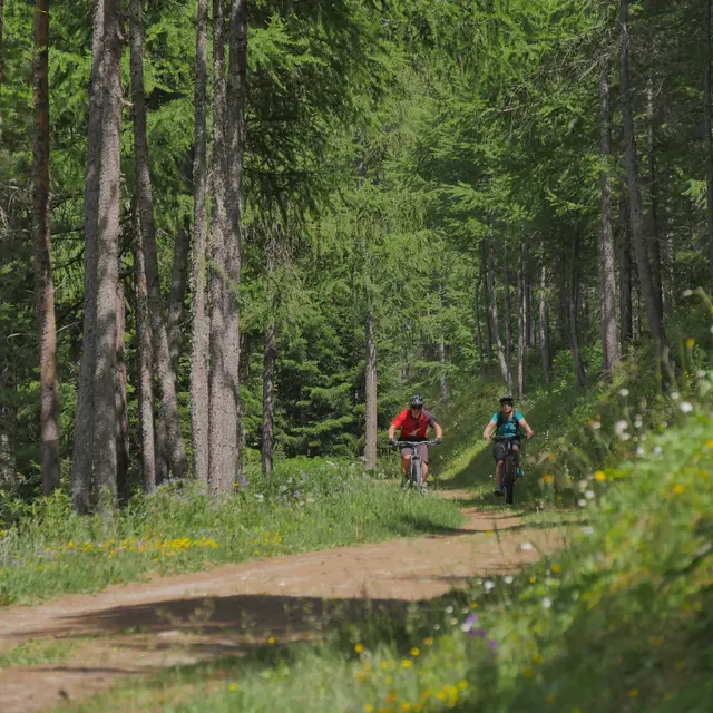 Clot des oiseaux en VTT_Ceillac