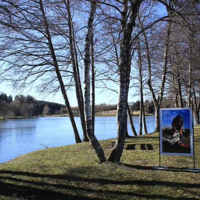 Exposition de photographies sur le thème des estives_Usson-en-Forez
