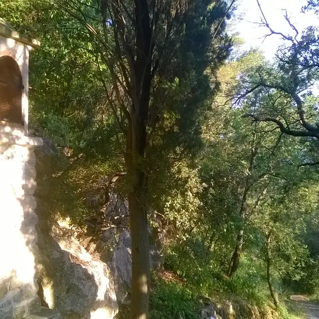 Chemin des oratoires