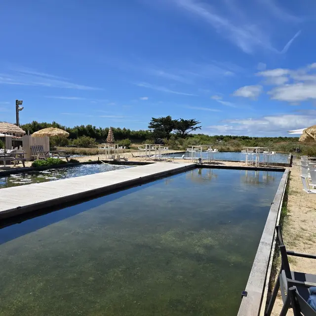 L'Huitrière de Ré - Bassins