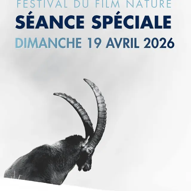 Séances Films Primés - Festival du Film Nature_Saint-Gervais-les-Bains