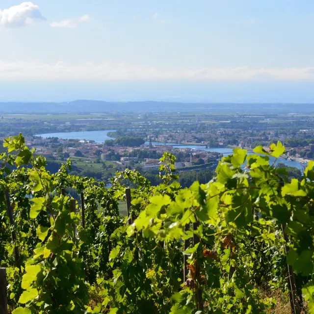 Les balcons de l'Hermitage - Circuit VTT_Tain-l'Hermitage