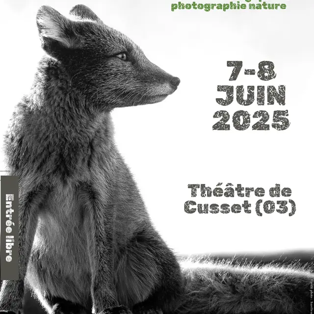 Affiche Officielle