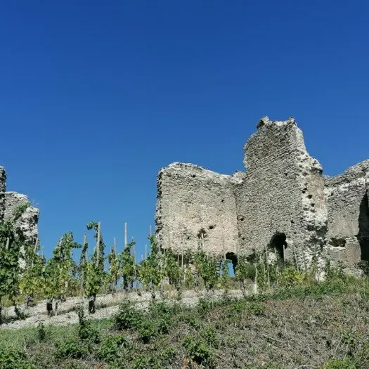 Ruines du château de Larnage