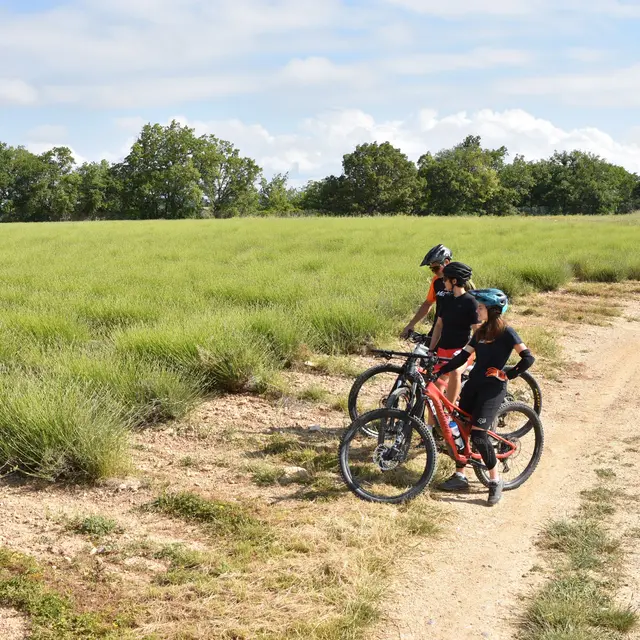 Site VTT FFC-Pays d'Oraison-Coeur de Durance-Circuit 4-Rouge-Oraison_Oraison