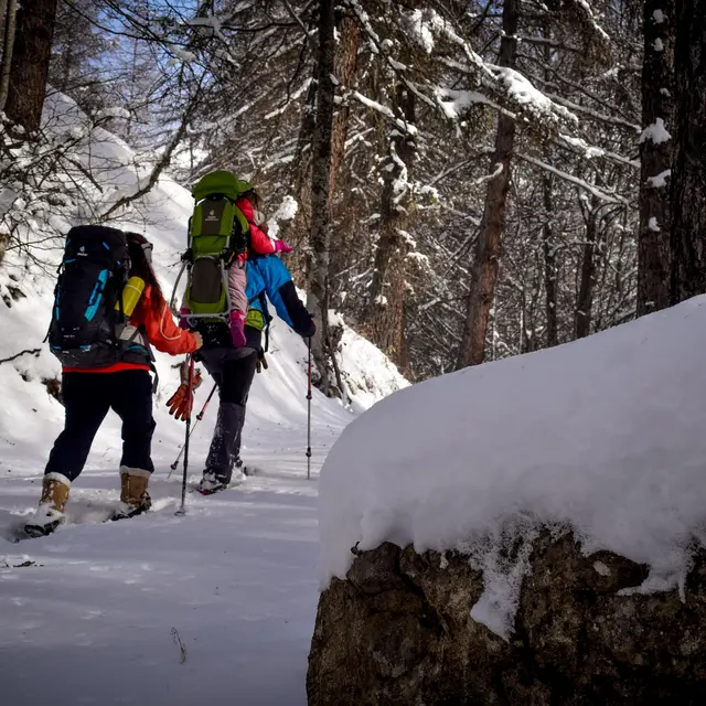 Randonnée raquettes à Chaillol