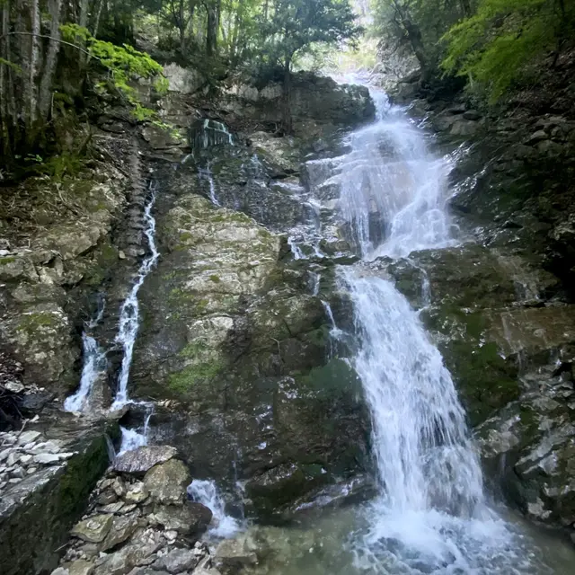 cascade de saury