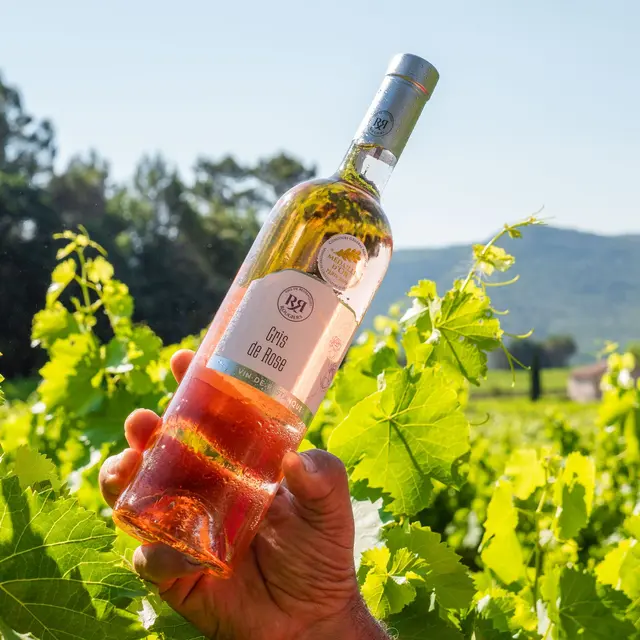 Les Vignerons de La Sainte Baume_Rougiers