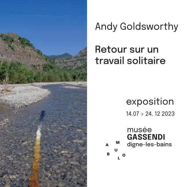 Andy goldsworthy exposition