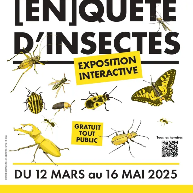 Exposition [En]quête d'insectes