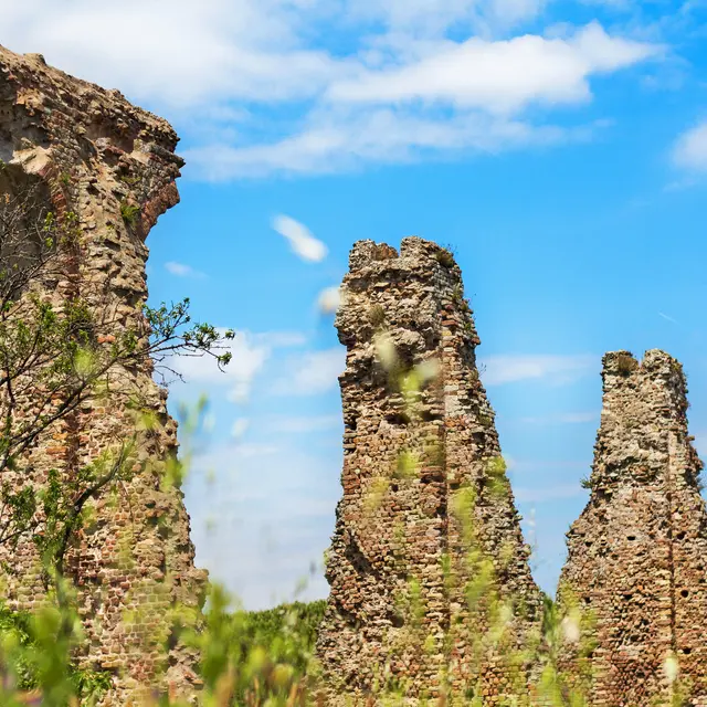 Visite guidée Fréjus : Ville Romaine_Fréjus