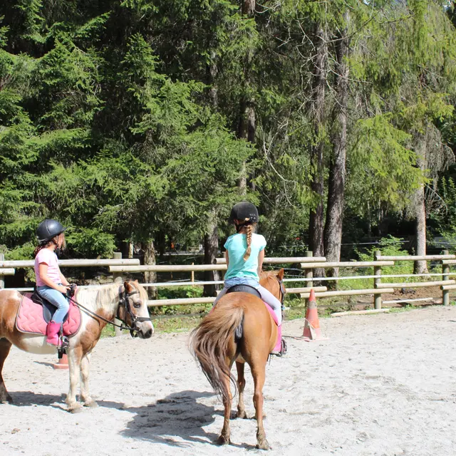 Cours équitation