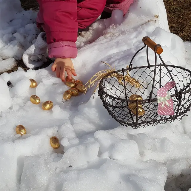 Chasse aux oeufs