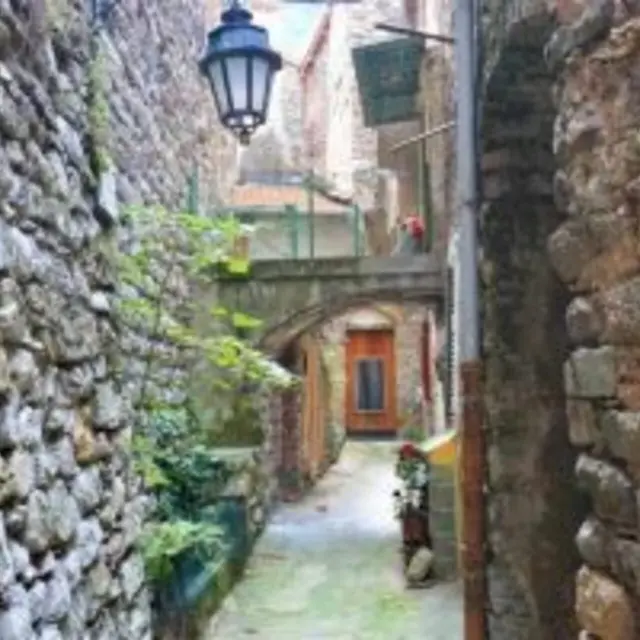 ruelle du Palin