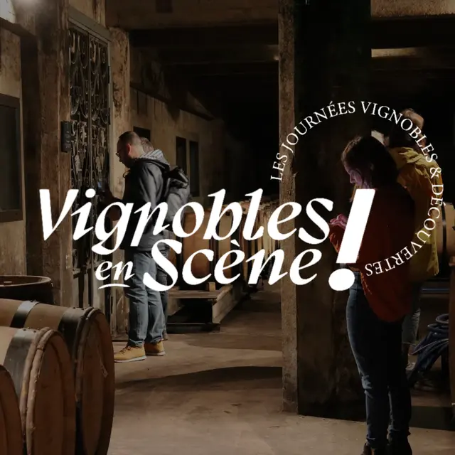 Vignoble en scène : Les Journées Vignobles & Découvertes - Vallée du Rhône Nord_Tain-l'Hermitage