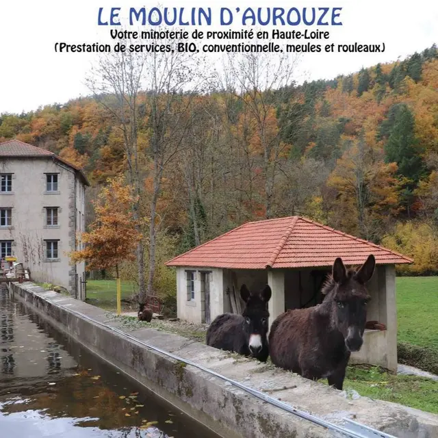 LeMoulin