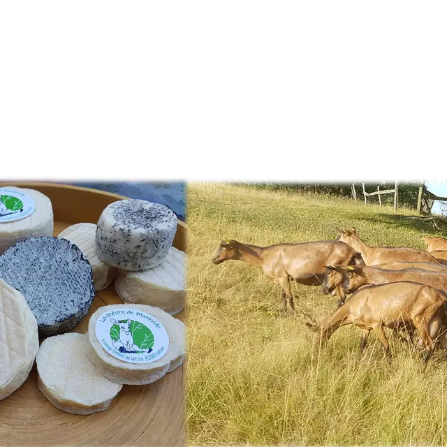 La Chèvre de Mathilde