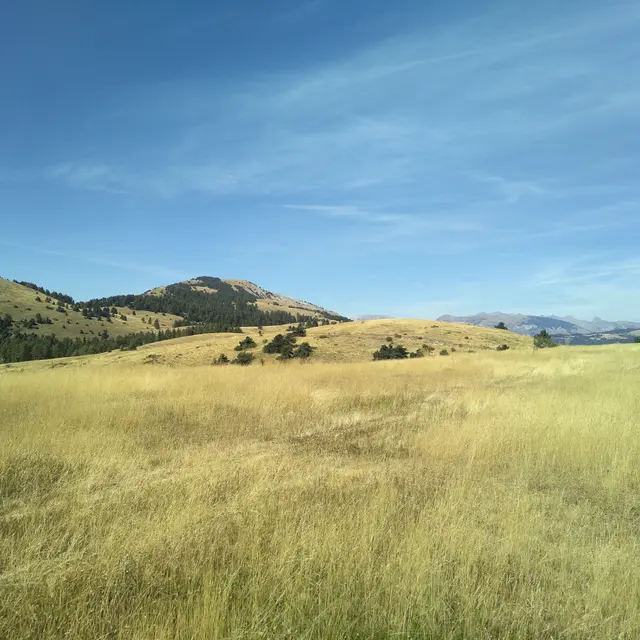 Le Puy de Rent depuis Annot