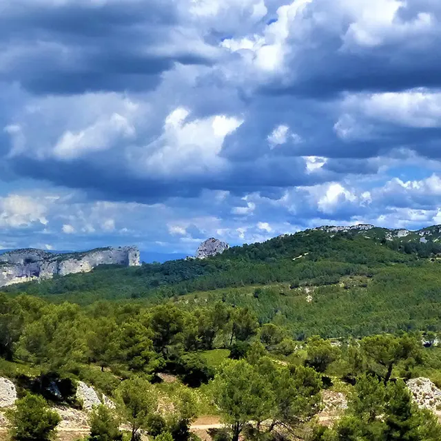 Le plateau de la Caume_Saint-Rémy-de-Provence