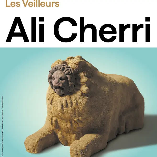 Les Veilleurs - Ali Cherri_Marseille
