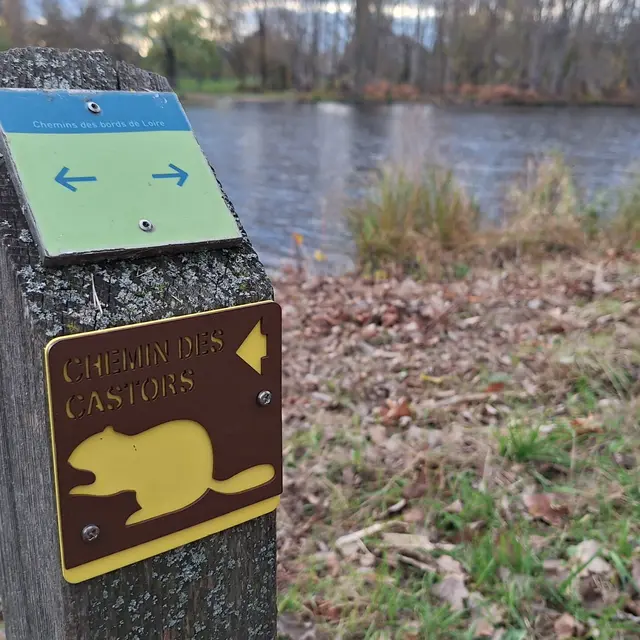 Chemin des castors_Saint-Just Saint-Rambert