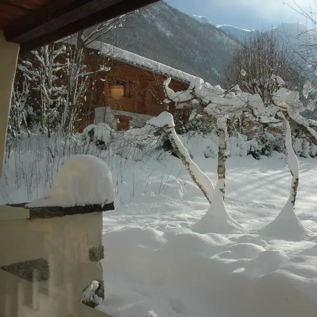 Chalet-mitoyen-Vasa36-Wibault 1