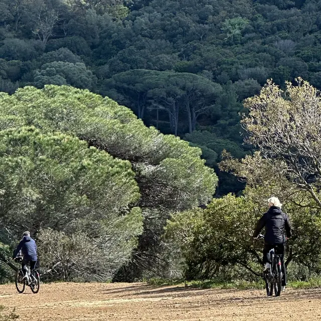 Les Brouis VTT