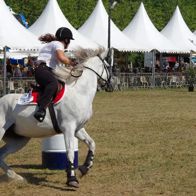 Fête du Cheval_Levens