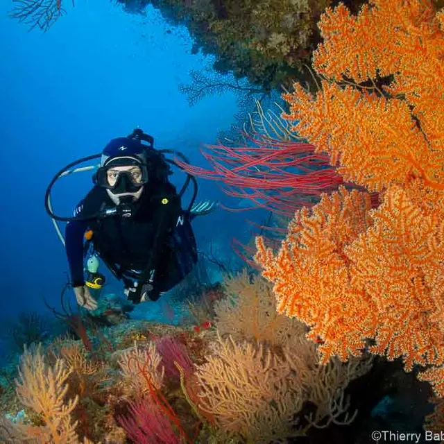 Formation de plongée sous-marine - Babou Côté Océan_Hienghène