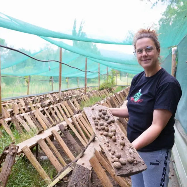 L'escargot du Ventoux_Bédoin