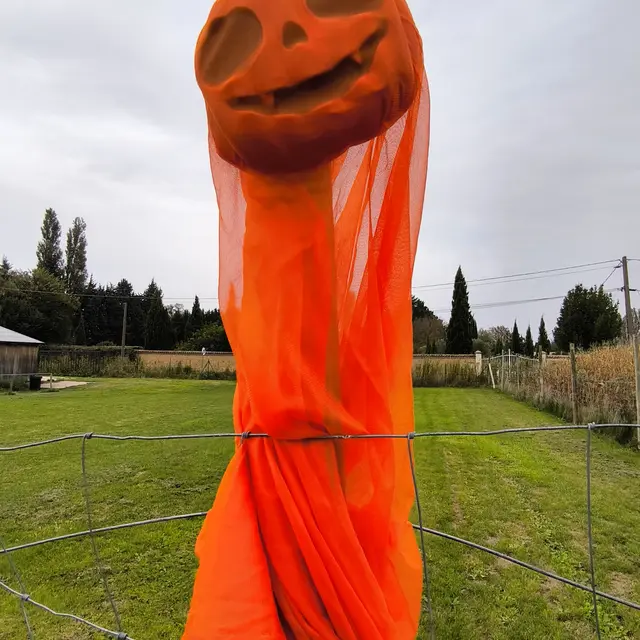 Nocturnes grand frisson au Labyrinthe les Hautes Herbes_Entraigues-sur-la-Sorgue