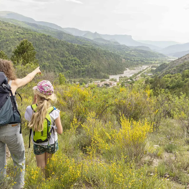 A la découverte des orchidées_Clamensane