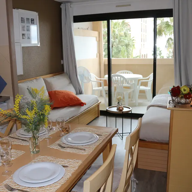Apt Palme d'Azur