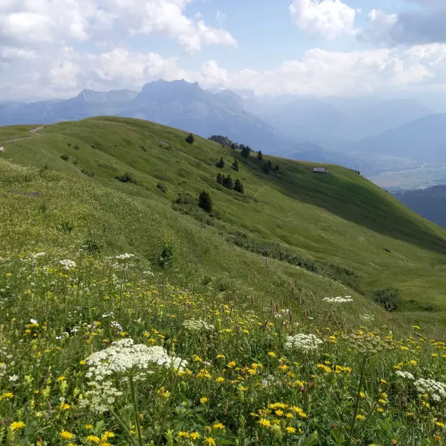 Sortie Nature - Découverte de la biodiversité avec Natura 2000_Cordon
