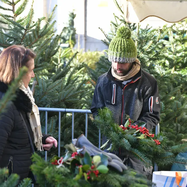 Marché aux sapins_Saint-Étienne