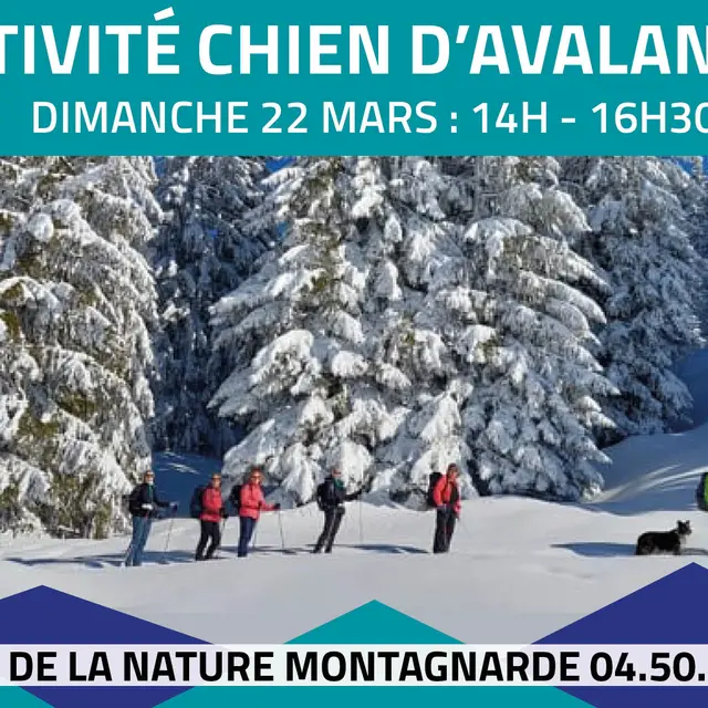 Activité chien d'avalanche_Sallanches