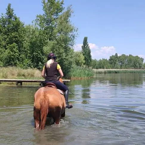 Balade à cheval au lac de Mison