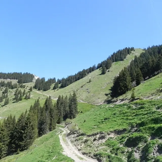 La Pointe de Recon