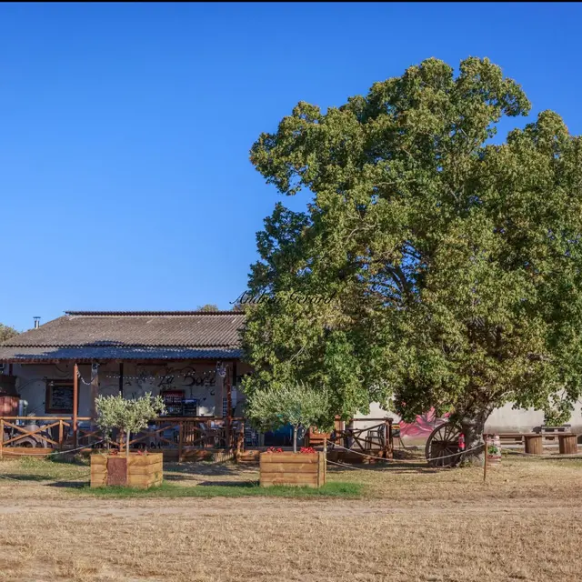La Bodega de  Margaux_Saint-Julien le Montagnier
