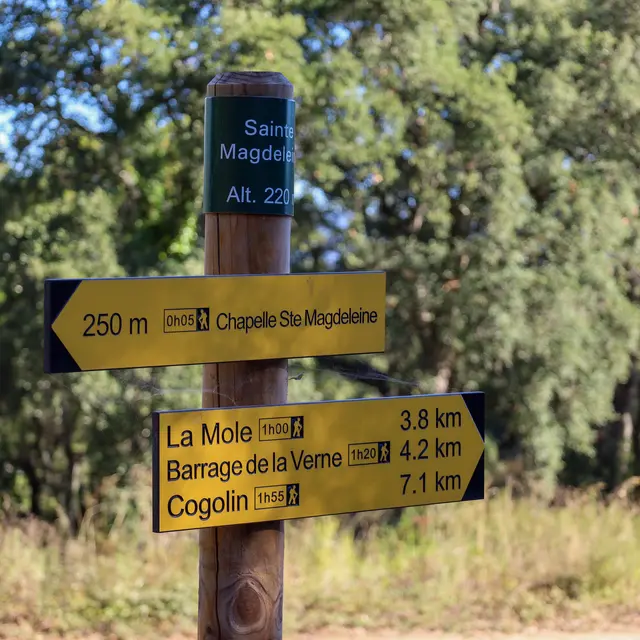 Sentier de la Mole à Cogolin par la Chapelle Sainte-Magdeleine_La Mole