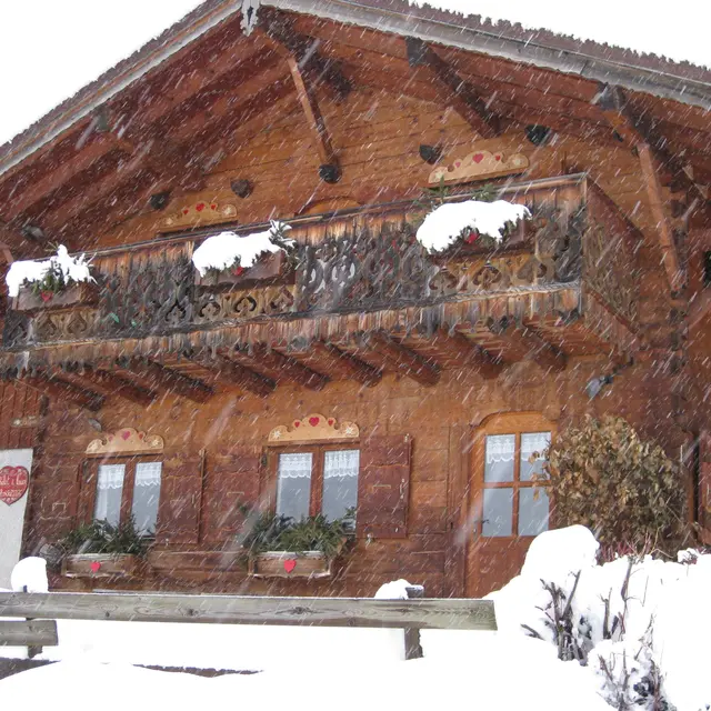 Ski Love Baquera